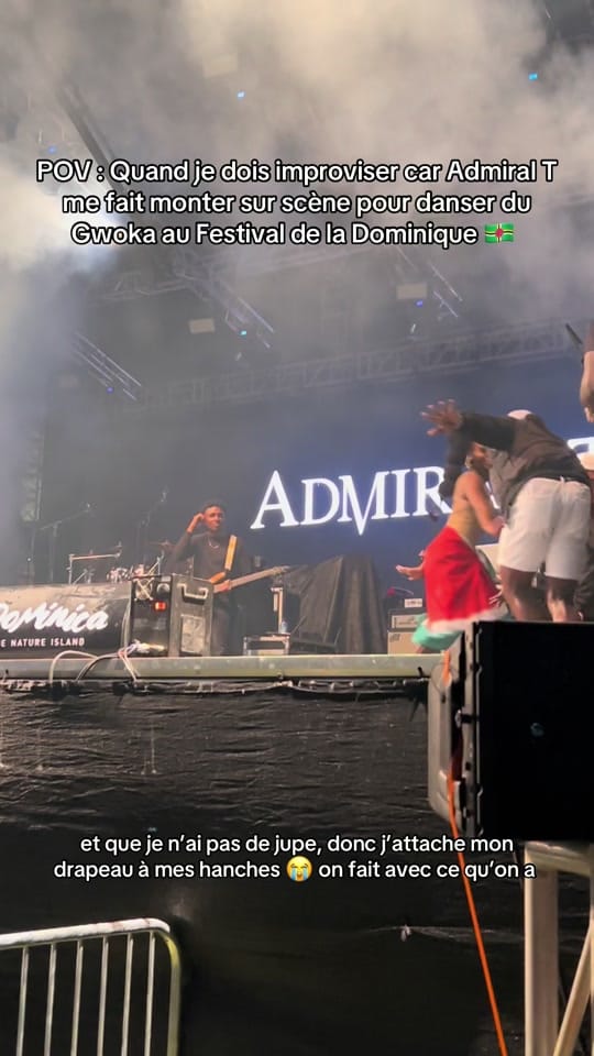 Post 10 by Danitzialogisoff on TikTok (video)