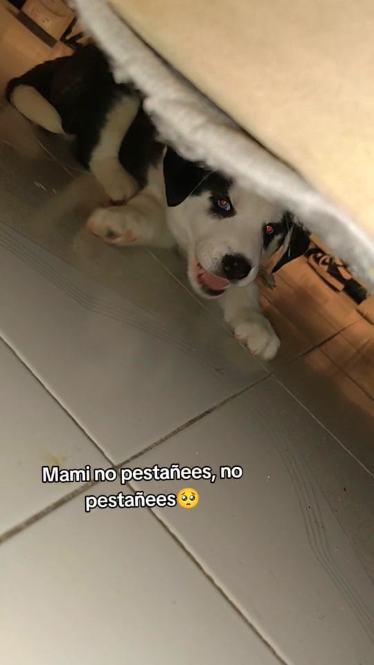 Post 9 by Zaira Bustamante on TikTok (video)