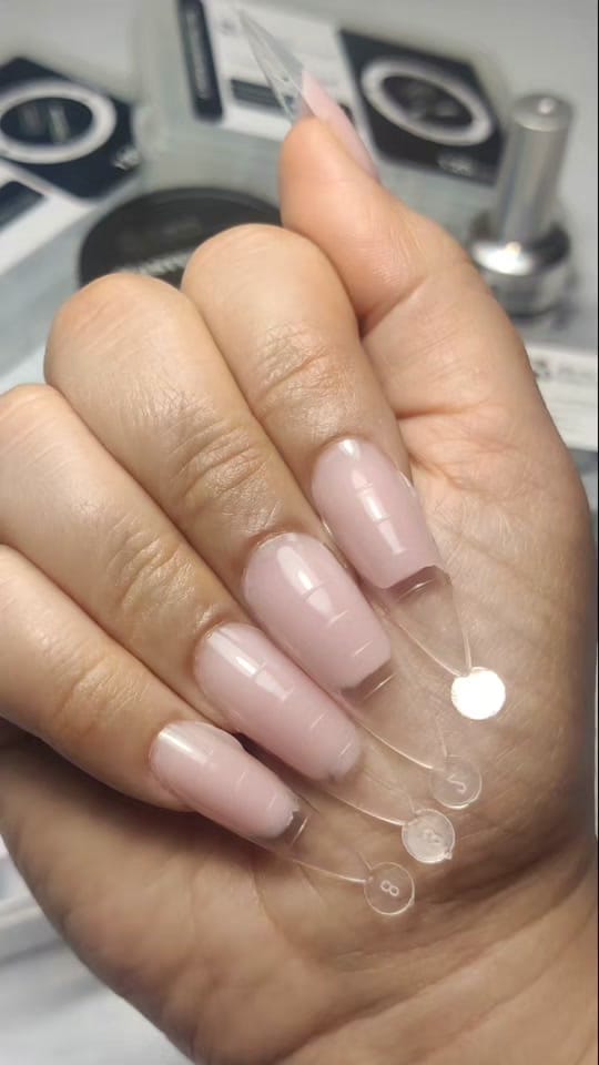 Post 2 by Beauty Distribution on TikTok (video)