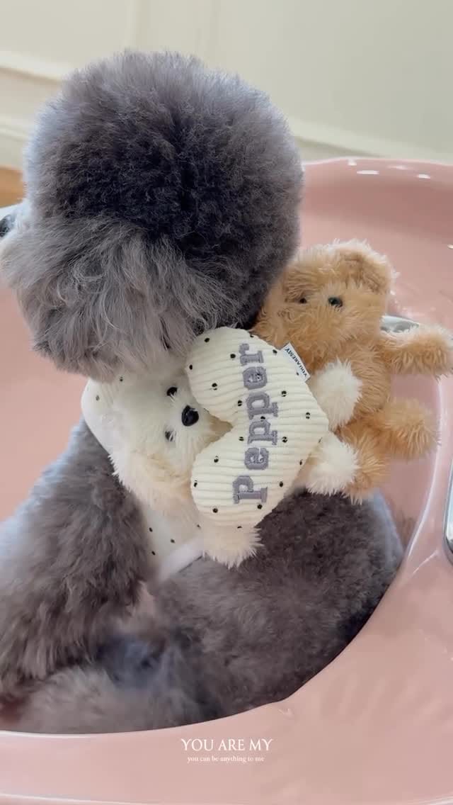 Post 7 by ᴀɴɢᴇ -ᴅᴏɢ ᴡᴇᴀʀ sʜᴏᴘ- on Instagram (video)