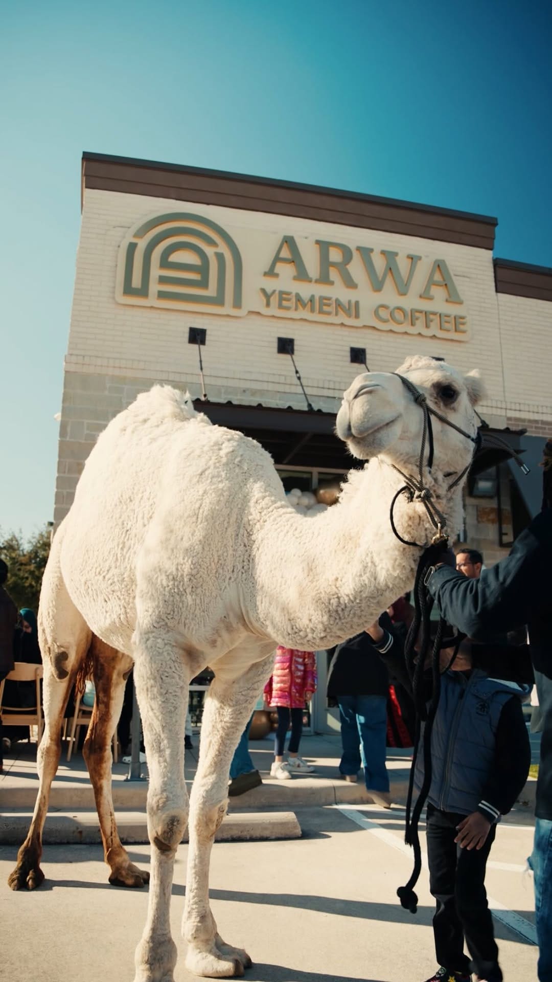 Post 8 by Arwa Yemeni Coffee® on Instagram (video)