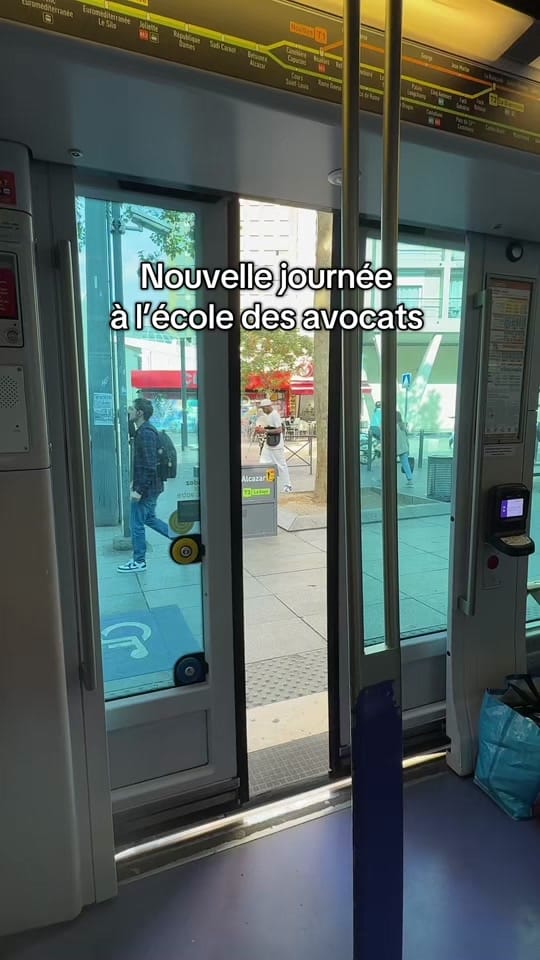 Post 4 by leoniepapilloon on TikTok (video)