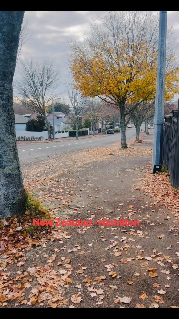 Post 5 by Ruby on Instagram (video)