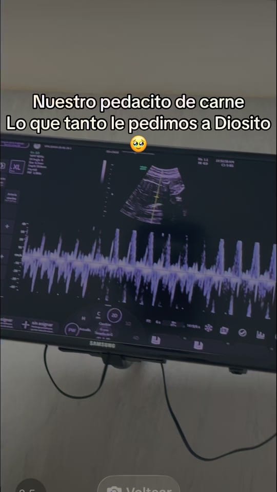 Post 4 by Liz Mendoza on TikTok (video)