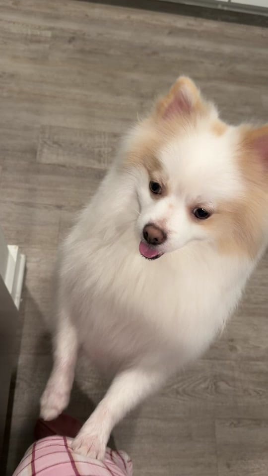 Post 10 by Francesca 🤎 on TikTok (video)