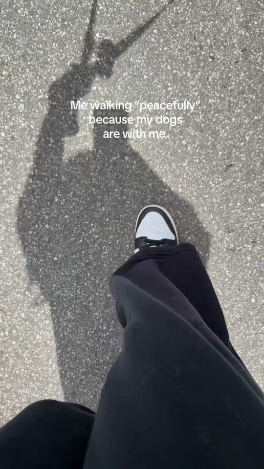 Post 1 by Francesca 🤎 on TikTok (video)