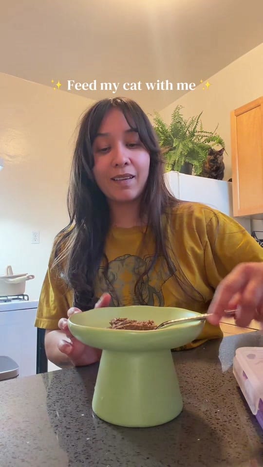 Post 7 by Sam Fournier on TikTok (video)