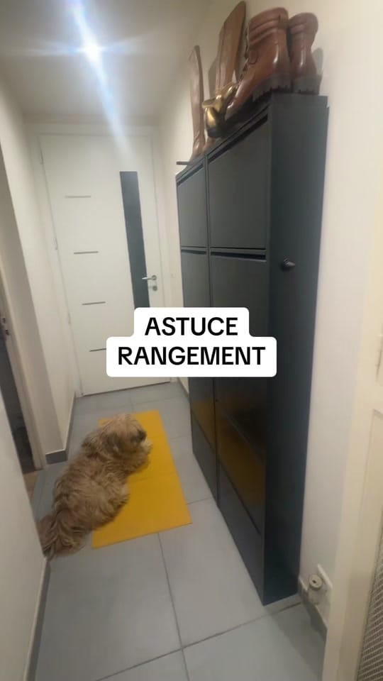 Post 8 by Diane - Halowaparishealthy 🌿 on TikTok (video)