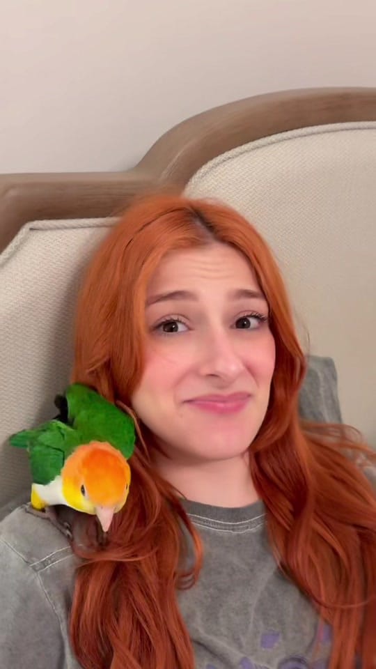 Post 6 by Francie on TikTok (video)