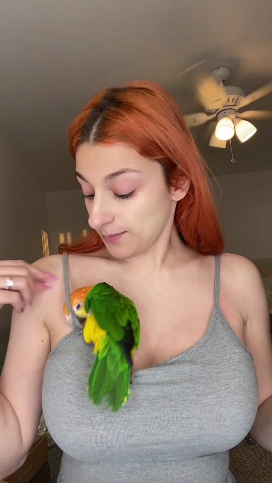 Post 8 by Francie on TikTok (video)
