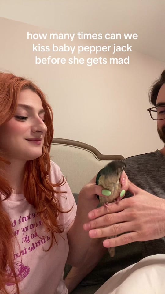 Post 3 by Francie on TikTok (video)