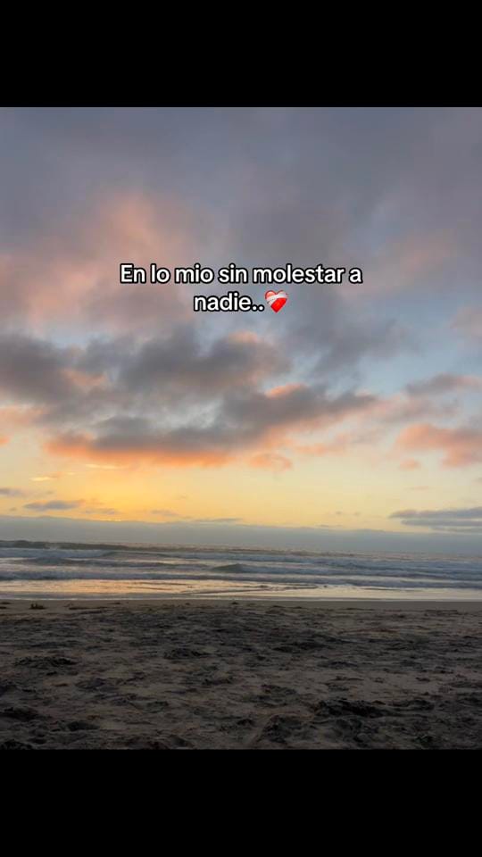 Post 2 by Luisa Domínguez on TikTok (video)
