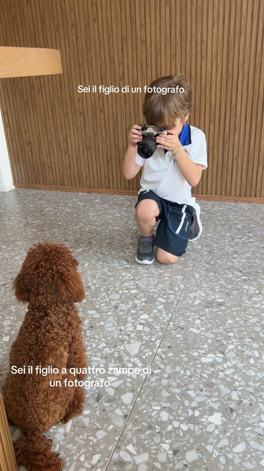 Post 3 by Imma De Francesco on TikTok (video)