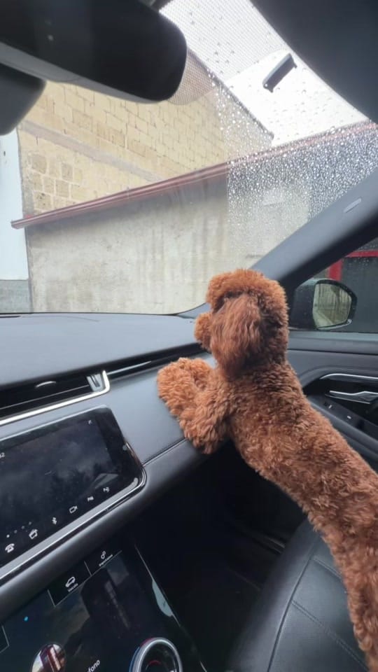 Post 5 by Imma De Francesco on TikTok (video)