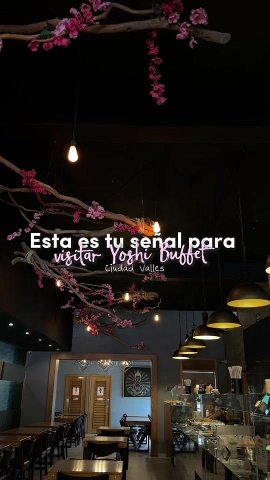 Post 3 by Moni T on TikTok (video)
