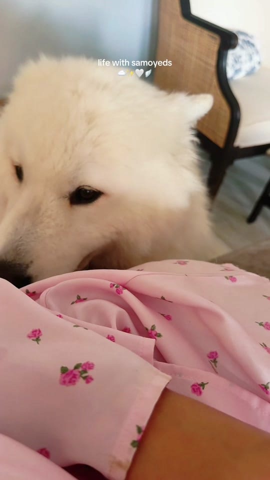 Post 2 by Mayte Myers on TikTok (video)