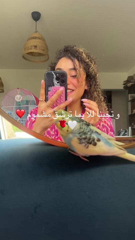 Post 4 by Myriam 🎤🎶🎵🪕🪘 on TikTok (video)