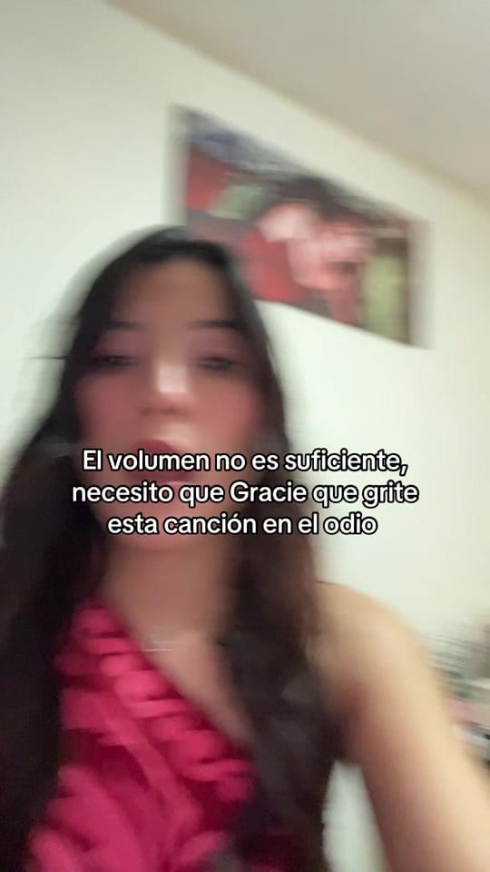 Post 1 by Liz Romero on TikTok (video)