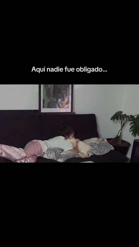 Post 4 by Cristina Quezada on TikTok (video)