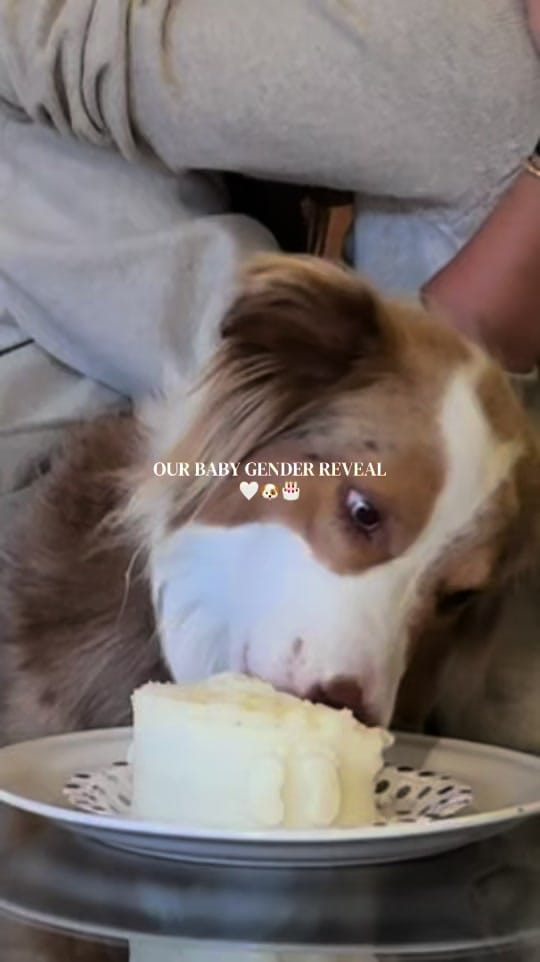 Post 6 by alerooth on TikTok (video)