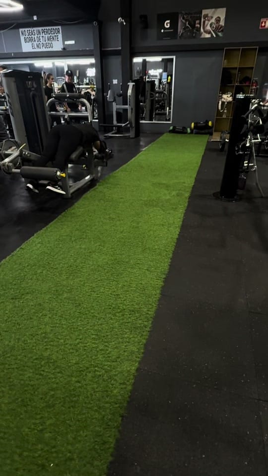 Post 7 by kingsgymfitness on TikTok (video)