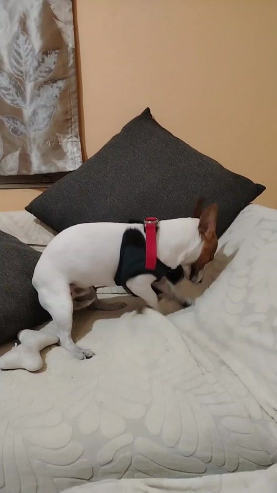 Post 6 by HOGUER on TikTok (video)