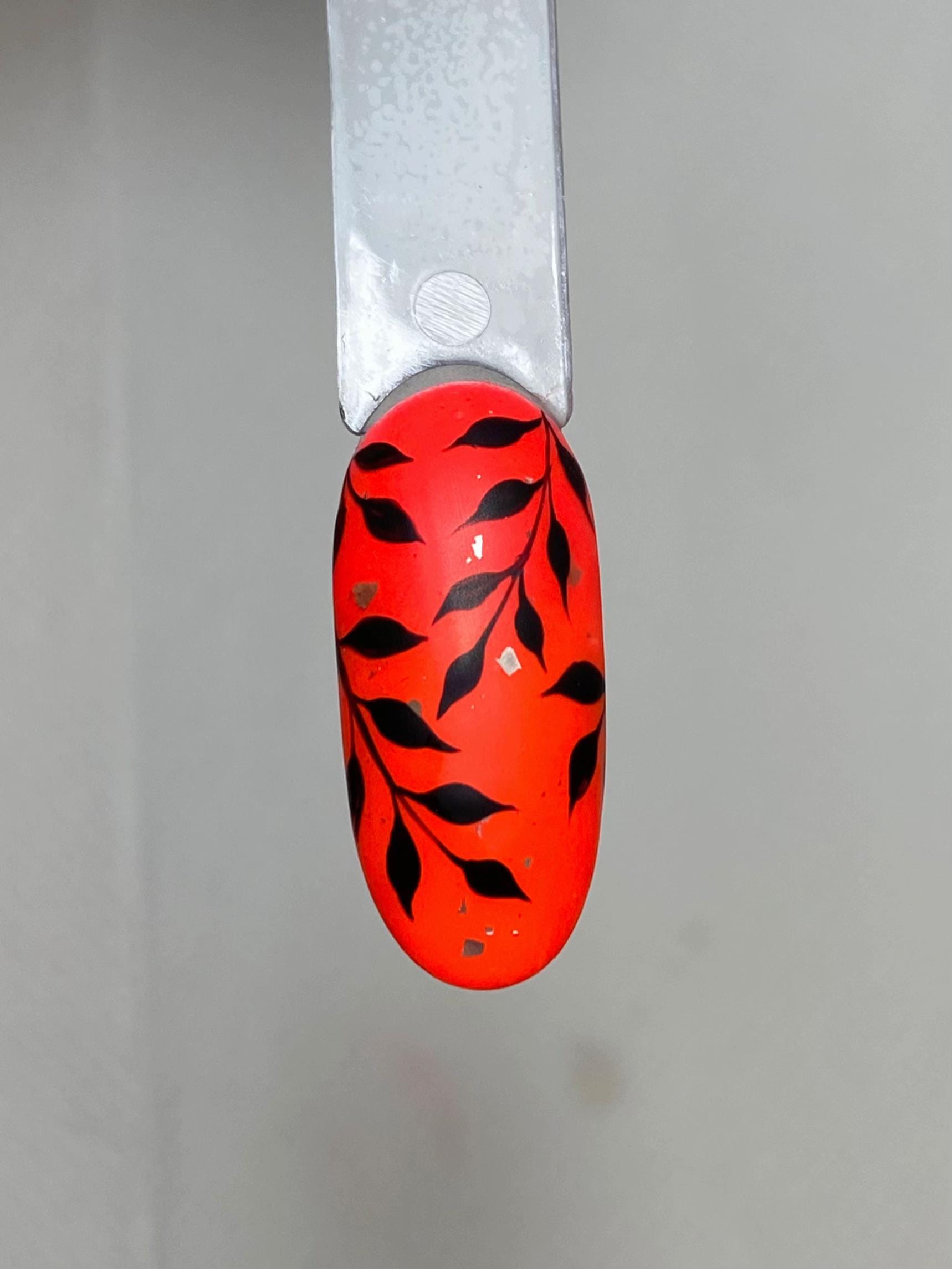 Post 6 by Francesca Ciaponi Effe Nails on TikTok (video)