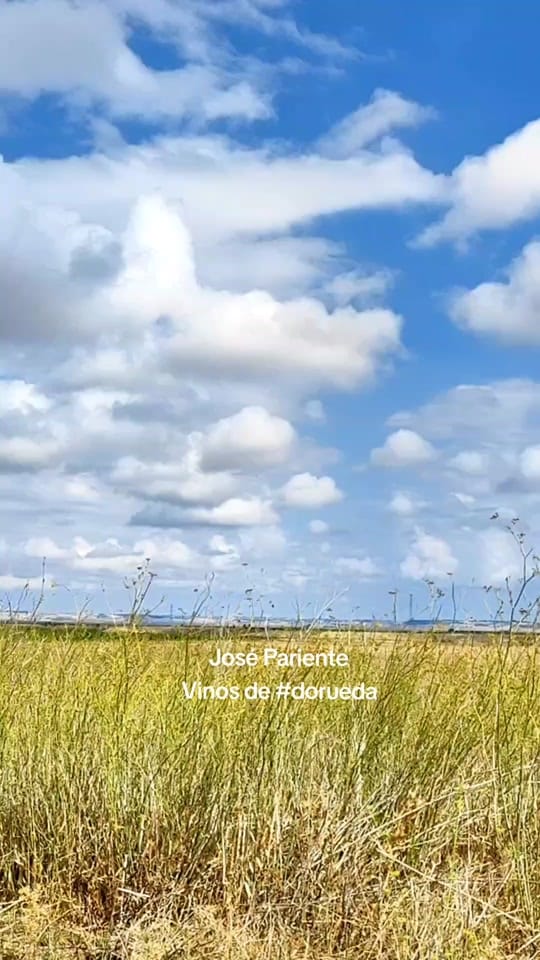 Post 10 by Karime MARTINI on TikTok (video)