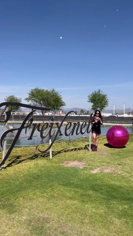 Post 8 by Karime MARTINI on TikTok (video)