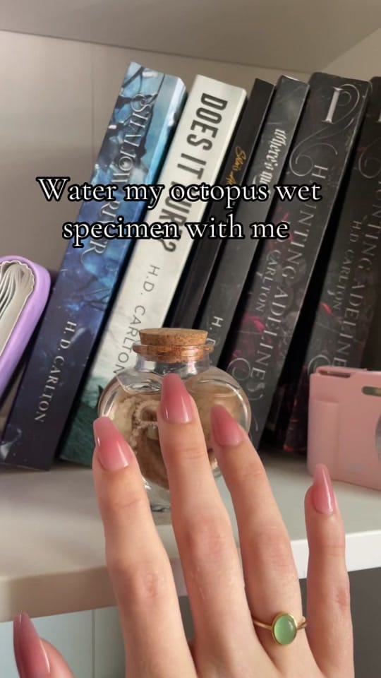 Post 1 by Breezy Leigh on TikTok (video)