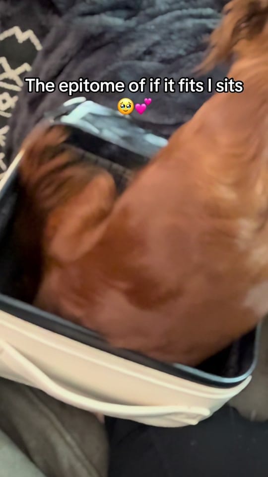 Post 5 by Brittany 🩵 on TikTok (video)