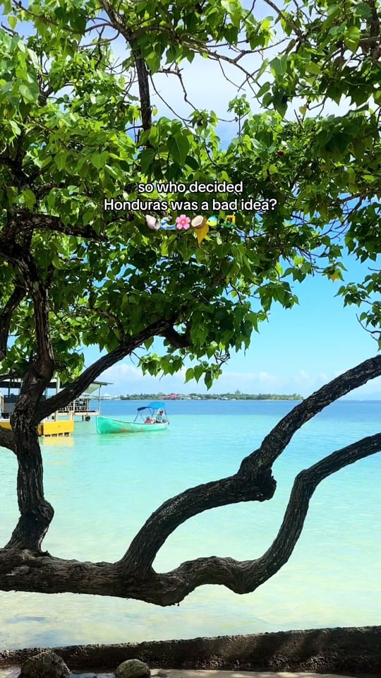 Post 5 by Patti Lu 🌎✈️✨ on TikTok (video)