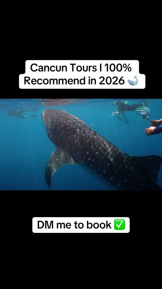 Post 2 by mycancunadvisor on TikTok (video)
