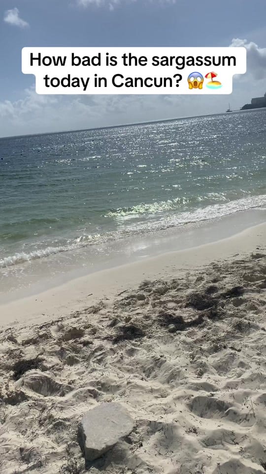 Post 3 by mycancunadvisor on TikTok (video)