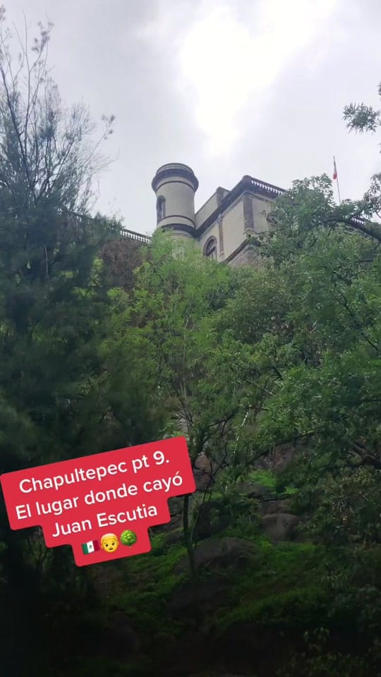 Post 8 by Joska! on TikTok (video)