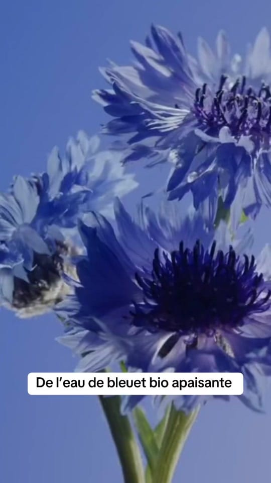 Post 4 by Yves Rocher on TikTok (video)