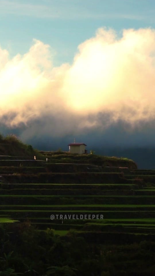 Post 4 by Gareth Leonard on TikTok (video)