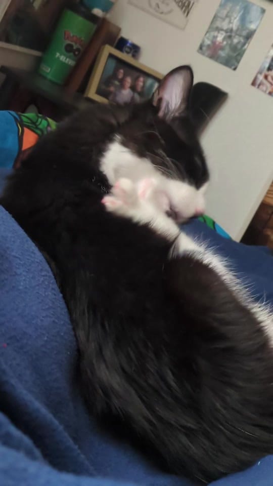 Post 6 by Katy on TikTok (video)