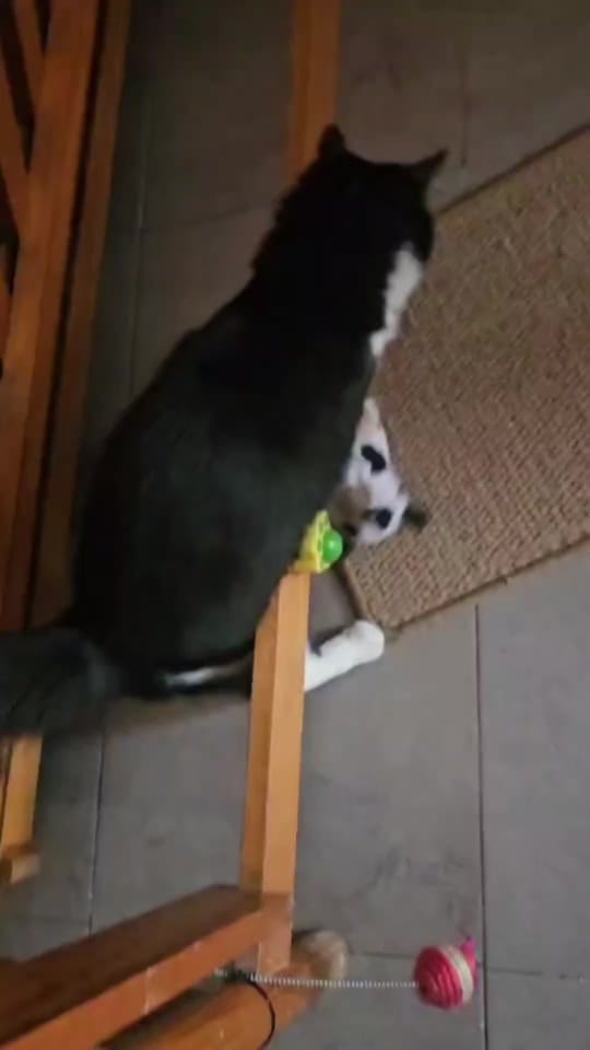Post 4 by Katy on TikTok (video)