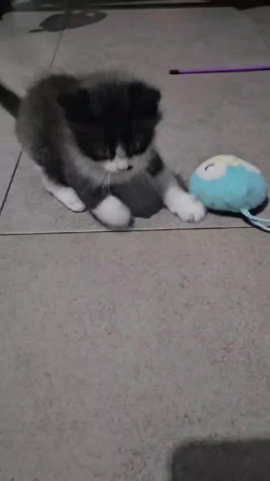 Post 7 by Katy on TikTok (video)
