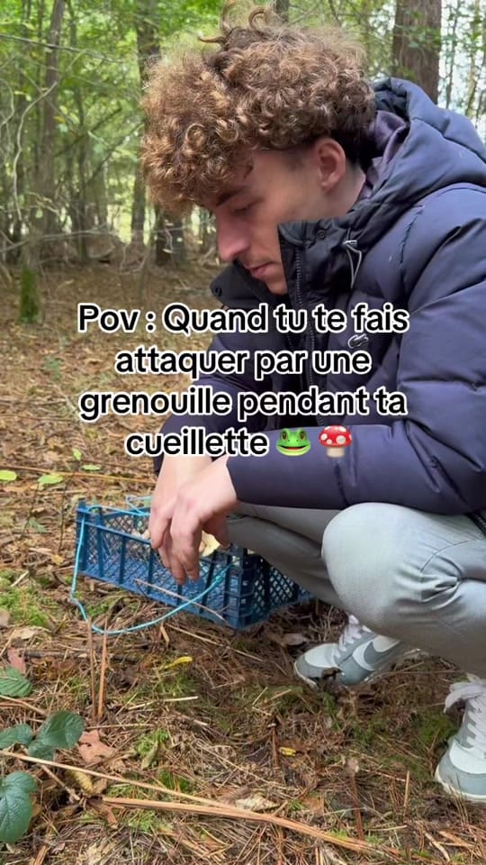 Post 7 by ChefRémyMariolles👨🏻‍🍳 on TikTok (video)