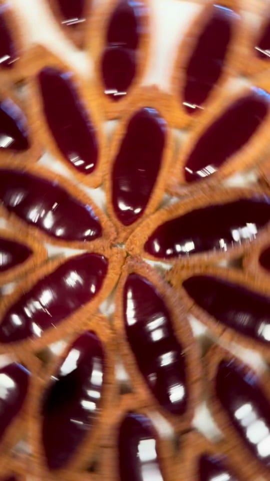 Post 9 by François Perret on TikTok (video)