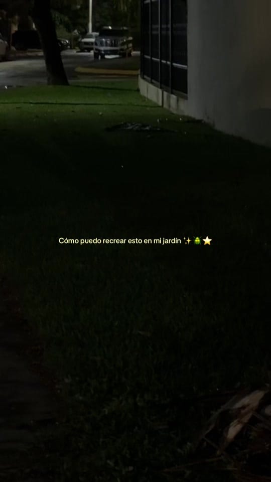 Post 8 by viviliz13 ⎕ on TikTok (video)