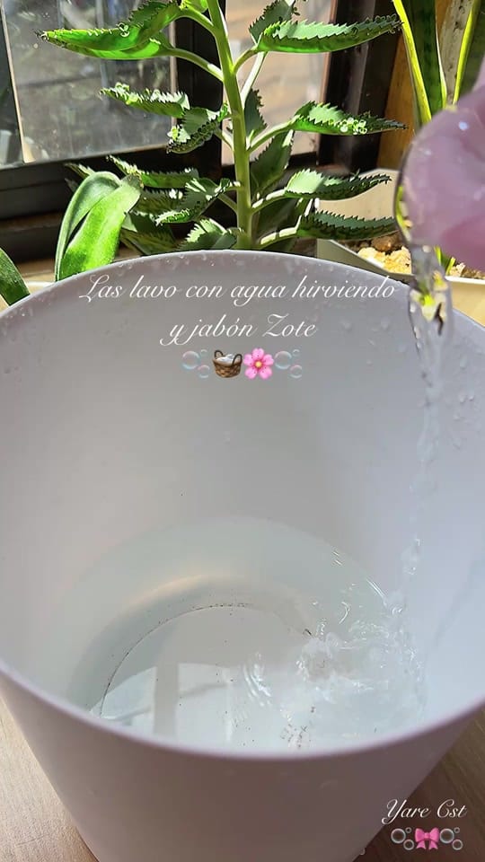 Post 7 by Yare Cst on TikTok (video)