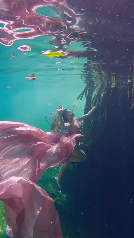Post 5 by Fran Reina on TikTok (video)