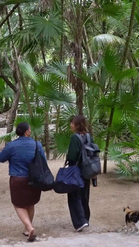 Post 7 by Fran Reina on TikTok (video)