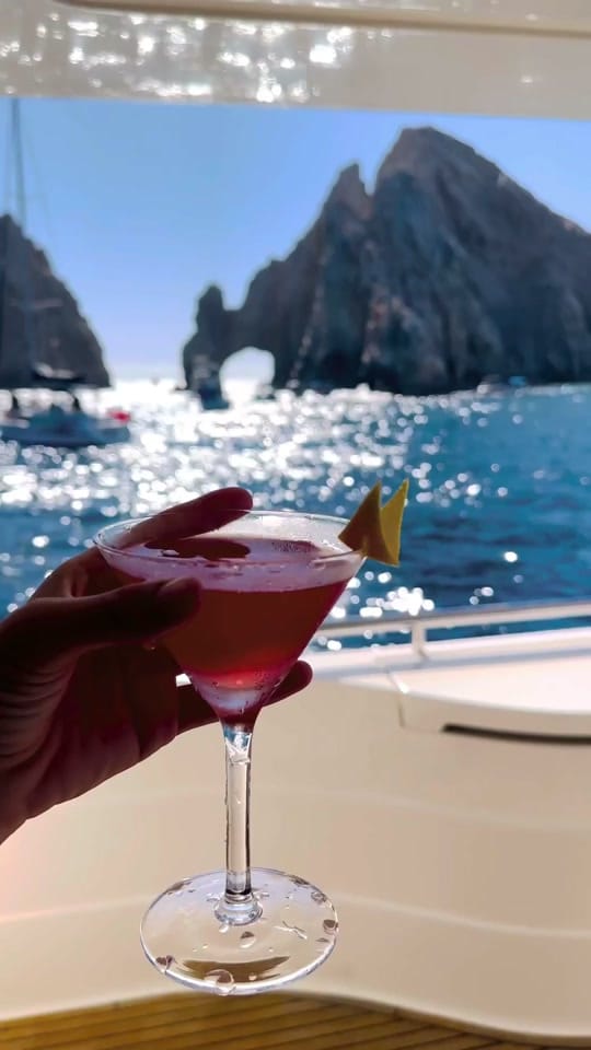 Post 6 by Chef Lauren Ness on TikTok (video)