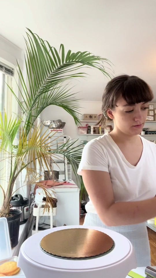Post 4 by Claire Raposo on TikTok (video)