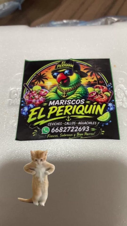 Post 1 by elmikiastorga on TikTok (video)