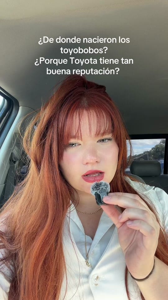 Post 3 by Silvana Valentina🌷 on TikTok (video)